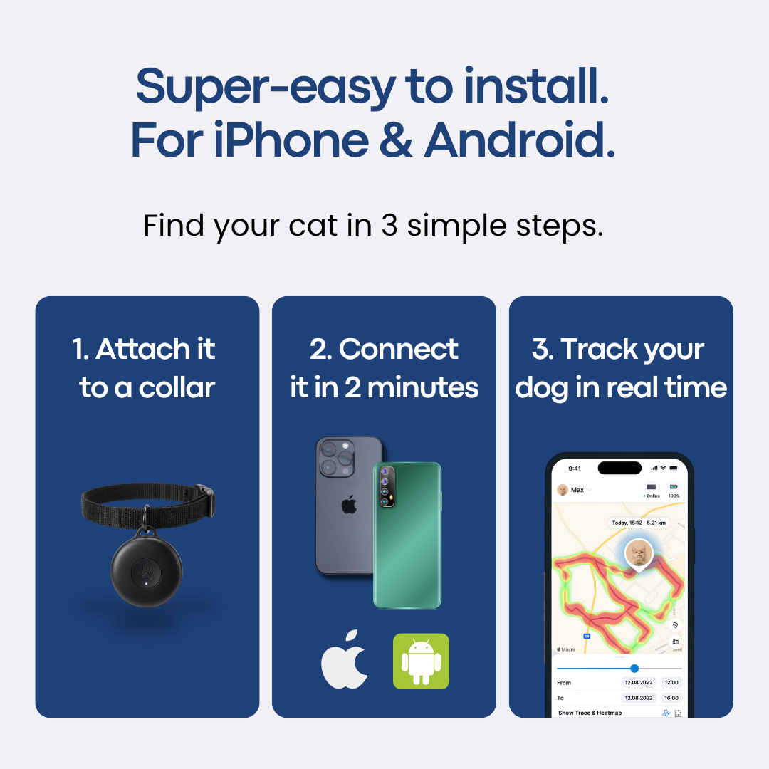 Localizador GPS para gatos sem mensalidade – Mekyle