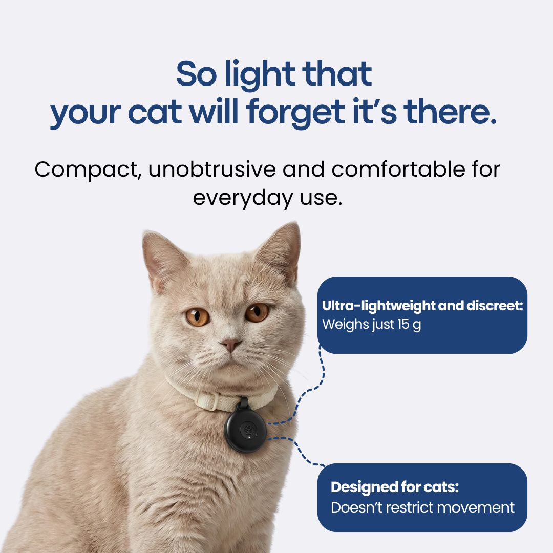 Localizador GPS para gatos sem mensalidade – Mekyle